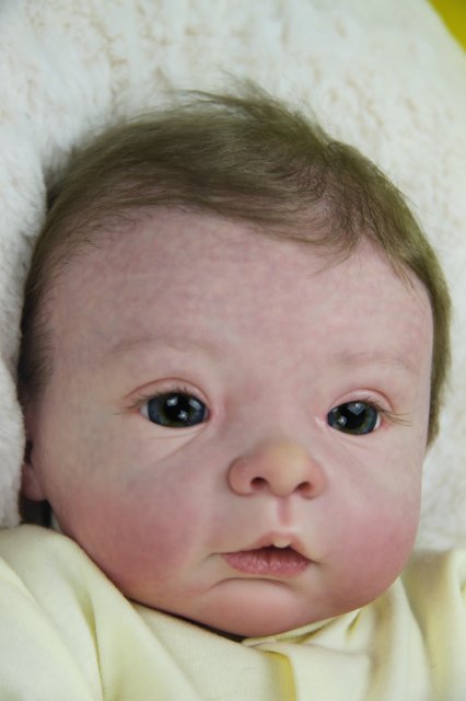 Софийкин! Кукленок реборн Виктории Вишни