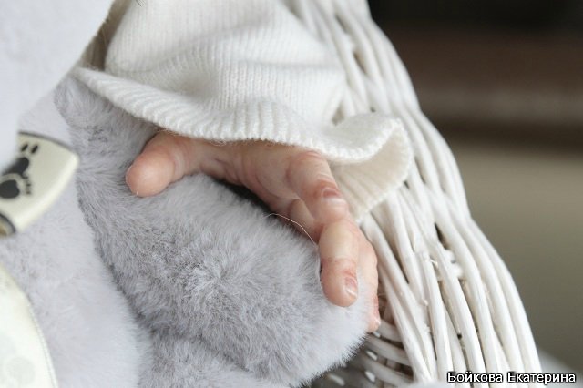 Кукла реборн Frida от Karola Wegerich в моём исполнении