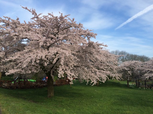 Выставка "Искусство и куклы" в Амстердаме 2016