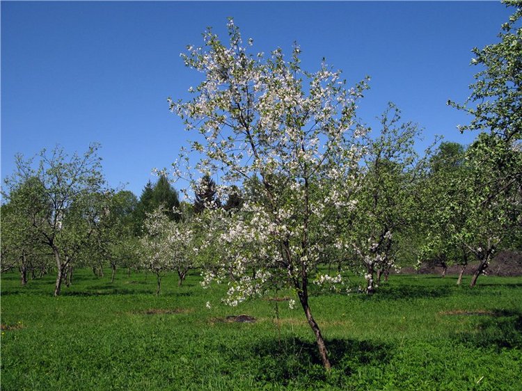 Субботний вояж. Часть первая