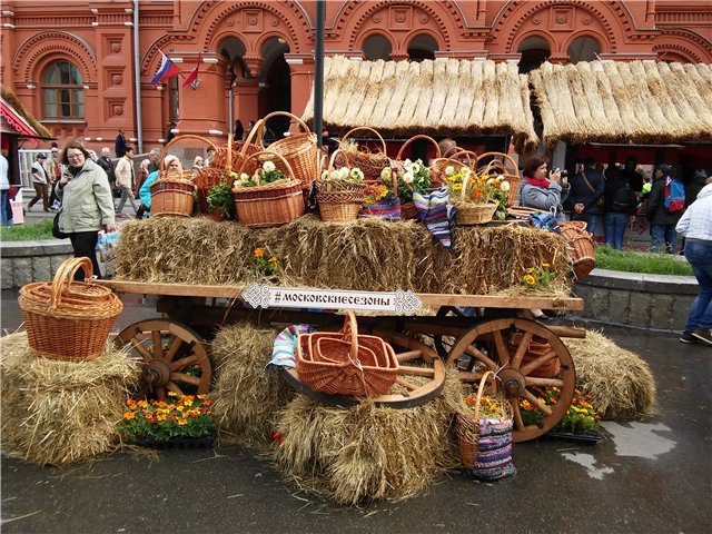 Незапланированная прогулка (фото 6)