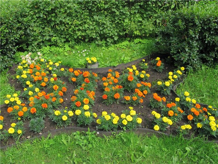 Кашин - город русского сердца. Часть пятая. Город - курорт, Санаторий "Кашин"