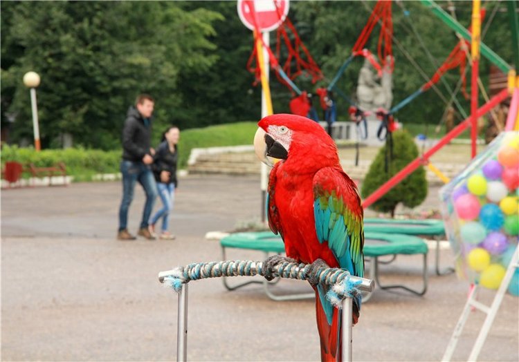 Кашин - город русского сердца. Заключительная часть. День города