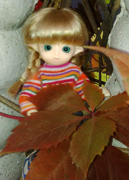 И снова Юлька — Куклы Brownie (Брауни) Felix Doll: Tiny BJD (БЖД) (фото 7)