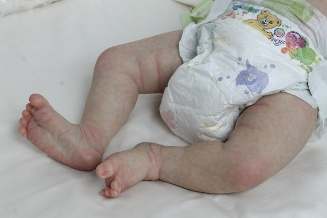 Сиренити от Екатерины Бойковой. Serenity Laura Lee Eagles