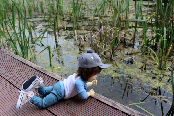 У Московского пруда. Или куда деваются утки (фото 6)