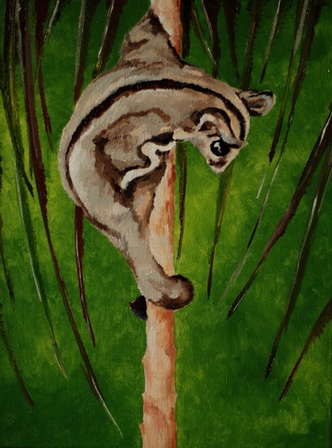 Космос — В мире животных: смешные фото питомцев и зверей (фото 8)