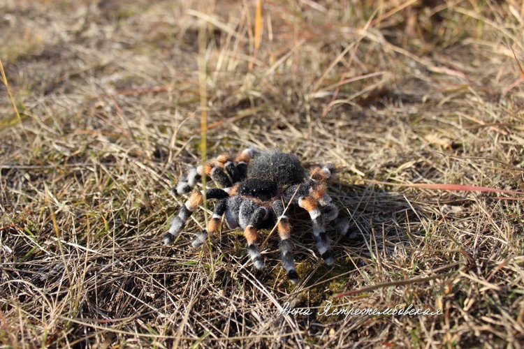 Гриша — Валяные игрушки из шерсти: сухое валяние (фото 8)
