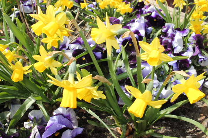 По Германии: зоопарк Лейпцига, часть 1