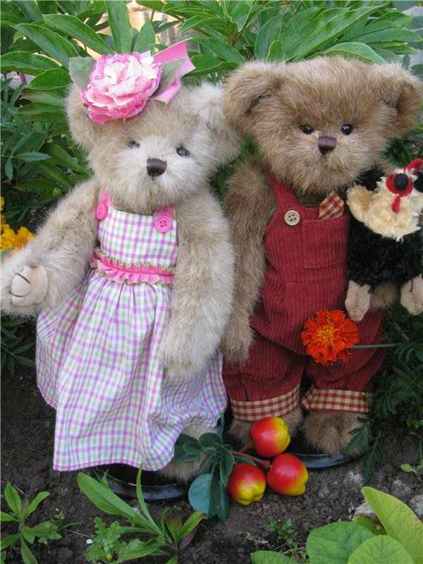 Моя семейка плюшевых мишек Bearington