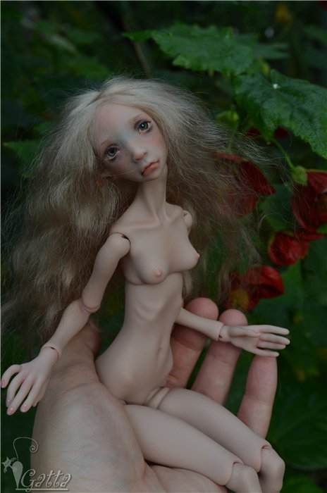 В Саду. Феникс, Лида Снуль (фото 3)