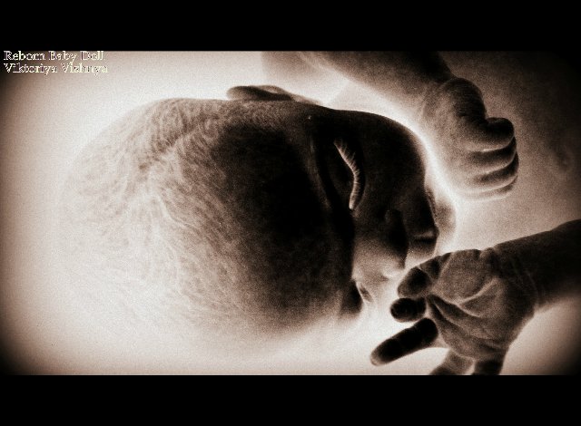 Лапуля Knox... Куколка реборн Виктории Вишни