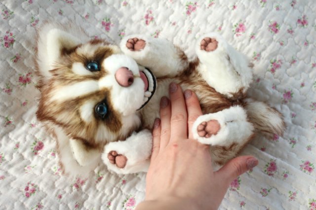 Шоколадный хаски Тофи | Бэйбики Шоколадный хаски Тофи — Авторские мишки Тедди и друзья: фото (фото 4)