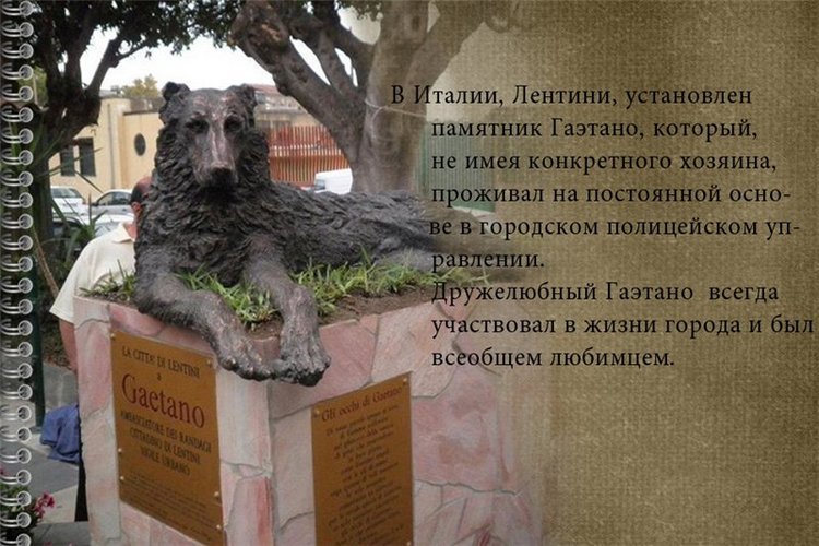 Памятники собакам в разных странах (фото 9)
