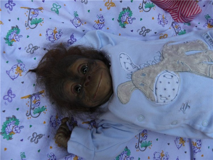 Необычное пополнение в моем доме