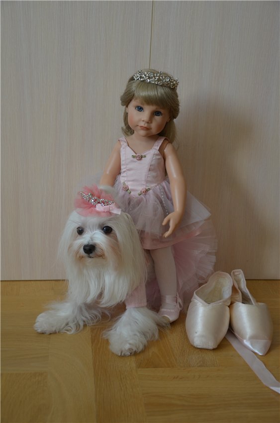 Балерина Хлоя или наше участие в конкурсе "Кукла и питомец"