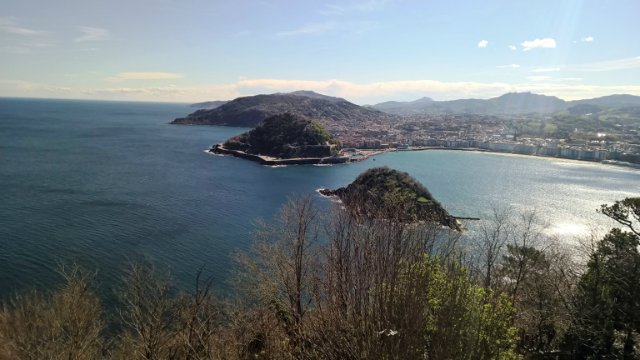 Пегий пёс, бегущий краем моря