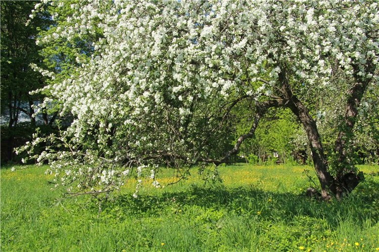 Субботний вояж. Третья часть | Бэйбики Субботний вояж. Третья часть