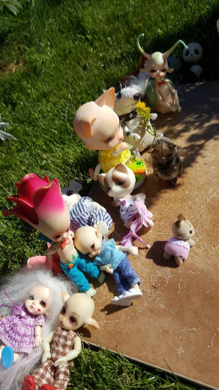 Большая свадьба Панг-Панга и Джулии (фото 3)