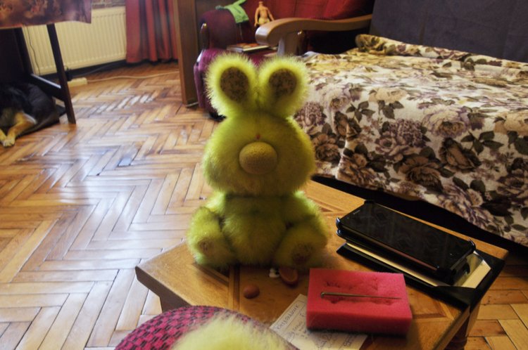 История одного ушастого товарища по имени Фанни (фото 4)