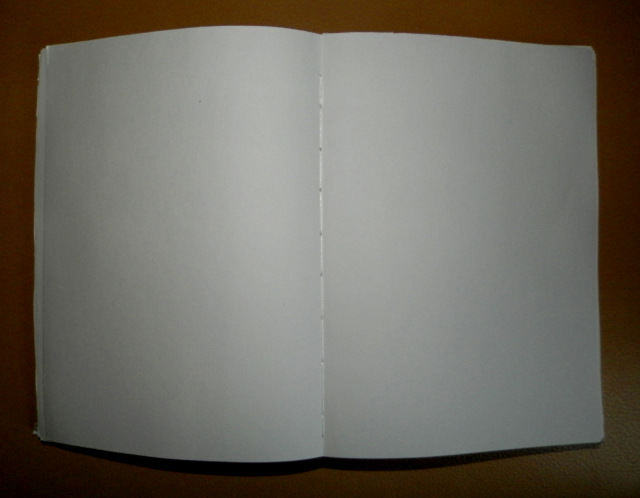 Мой первый скетчбук — Интересное и необычное: фотоподборки (фото 2)