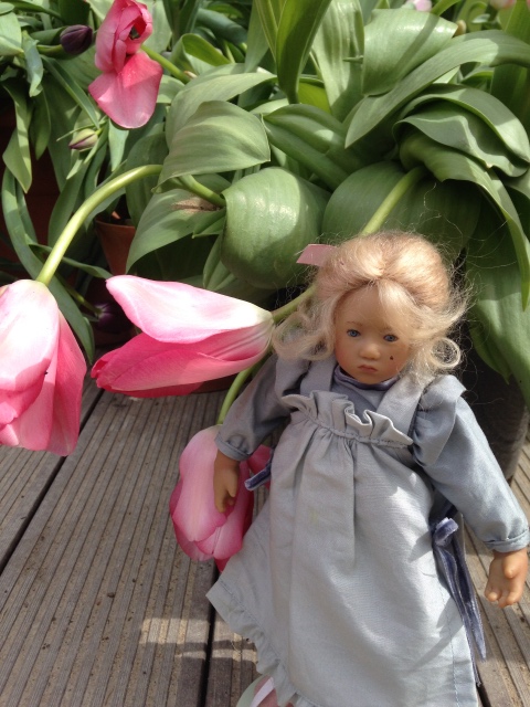 Фотосессия Скилле в Аптекарском огороде. Skille mini club от A. Himstedt