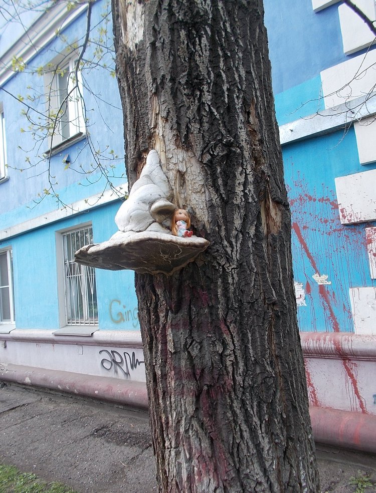 Привет от зимы — Болталка и разговоры обо всем: жизнь (фото 3)