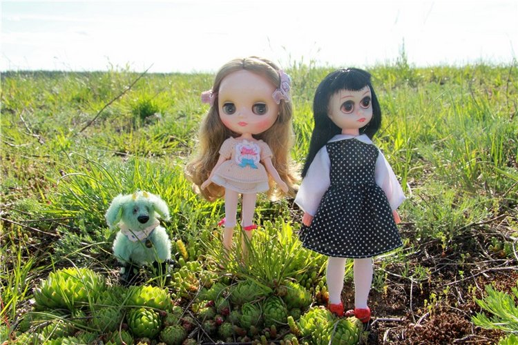 Блайзочки на природе — Оригинальные куклы Blythe (Блайз): Takara