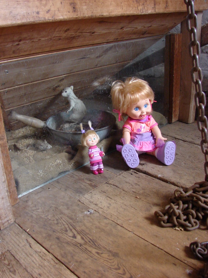 Как Пенни и Машка мельницу осматривали