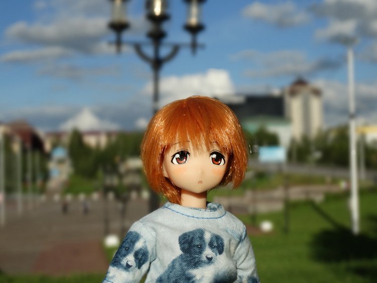 Путешествие с Азоночками Azone doll