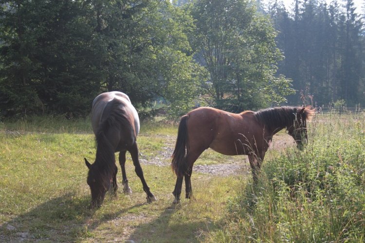 Как мы горы покоряли — Куклы Rosemarie Anna Muller (Мюллер): Вихтели (Wichtel)