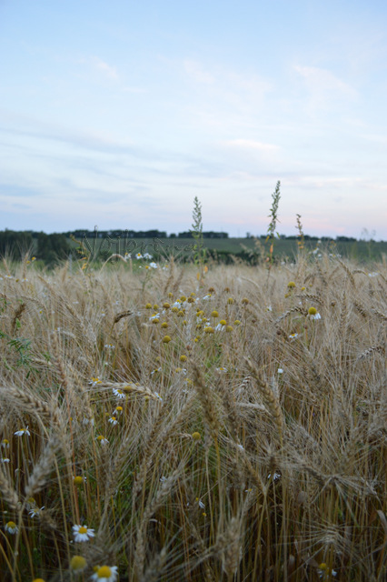 Туристы. Коллекционная кукла Линда и Среда