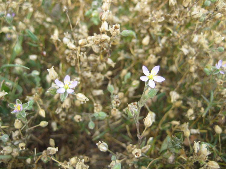 Вот такая вот Болгария — Туризм и путешествия: фотоотчеты из поездок