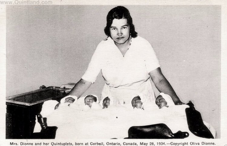 История трагической жизни, ставшая фурором кукольного мира . Часть 3 Заключение