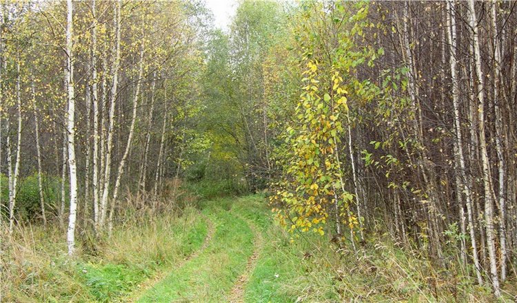 Тверской Водопад — Туризм и путешествия: фотоотчеты из поездок