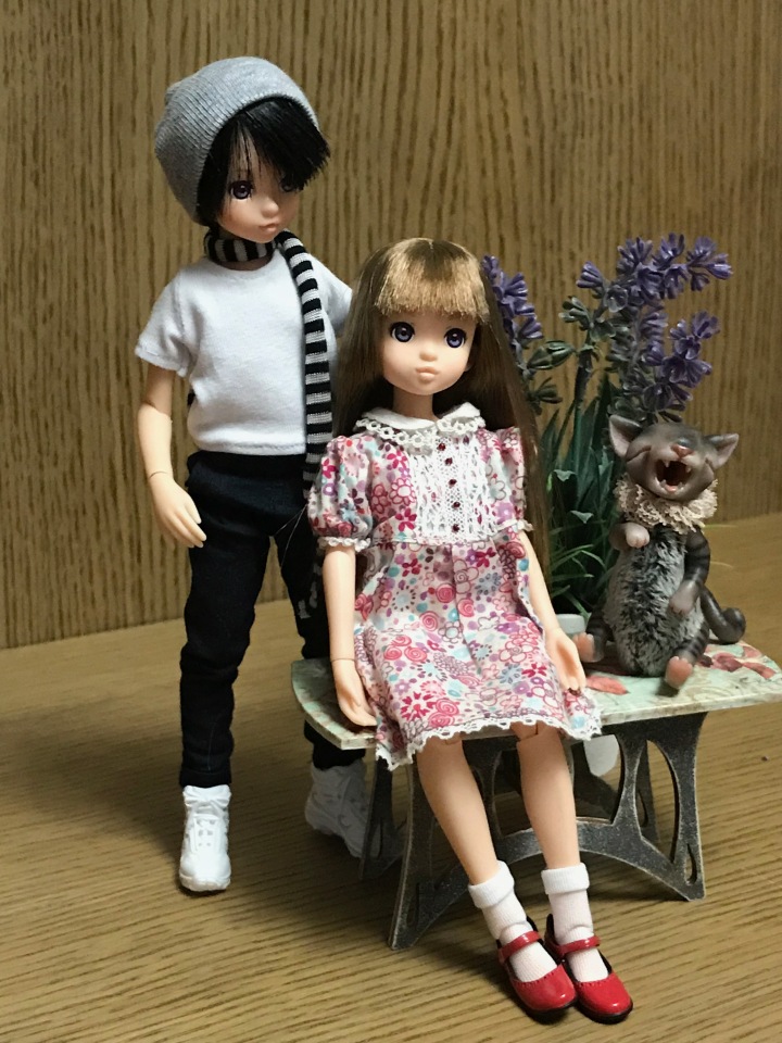 Крошки Руроко — Куклы Momoko и Ruruko (Petworks (фото 8)