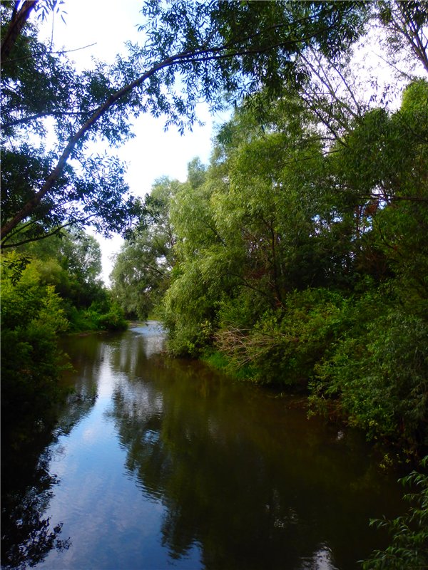 Мы гуляли | Бэйбики Мы гуляли — Куклы Iplehouse (Иплхаус): BJD (БЖД)