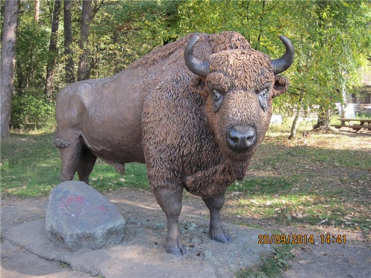 Давайте знакомиться! Мусенька - Realpuki Kaka Basic;)