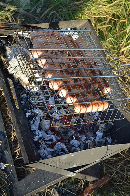 Серый кот. Вихтели Schildkroet