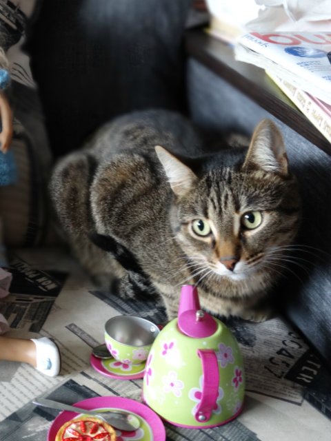 Что мне снег, что мне зной. Кукла Annette Himstedt