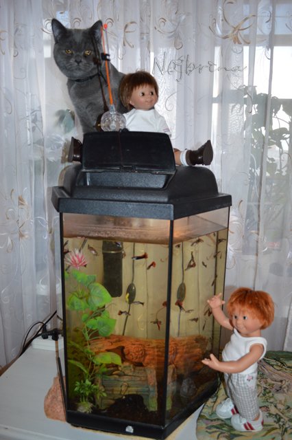 Вихтелята одни дома. Тайная жизнь кукол