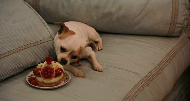 Часть первая: Прекрасная Дама эпохи Рококо