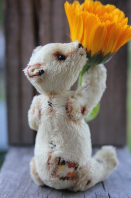 Летний карманный мишка тедди (фото 7)