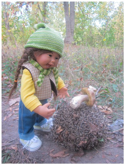 "Неприятный случай" или Ёжик, осень, грибочки. Wichtel, Rosemarie Anna Muller (фото 6)