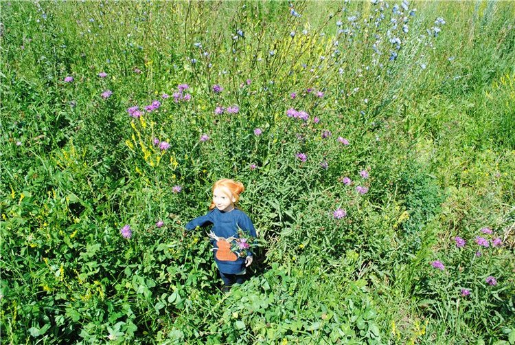 В твоей улыбке прячутся мечты... О, милый рыжик, кто же ты (фото 7)