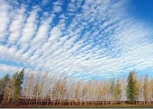 Марселька и тролли рассаду сажали, а бабочка с пчелкой им помогали... По следам конкурса "Моя Весна"