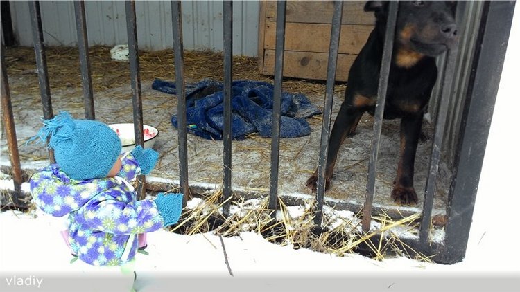 Лучше поздно, чем никогда. Или Мишелька и снег