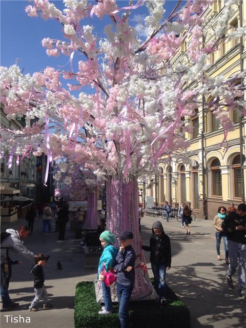 Шоколадные малышки — Домашние коллекции кукол: фото собраний