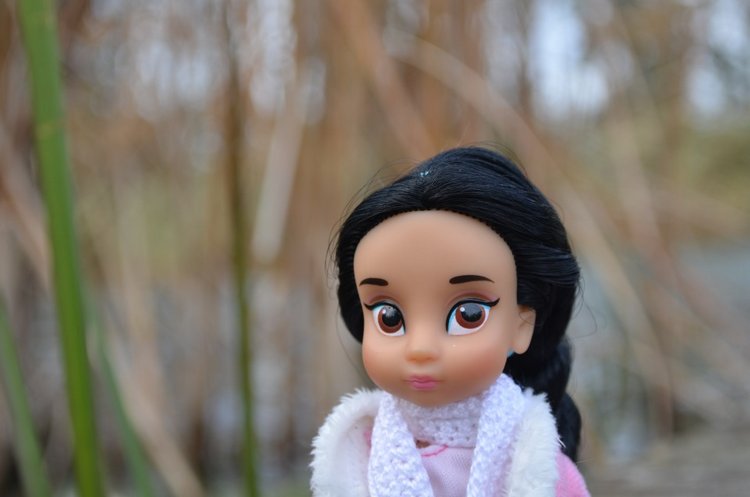 Мини дисней аниматорс Жасмин - поздняя осень (фото 5)