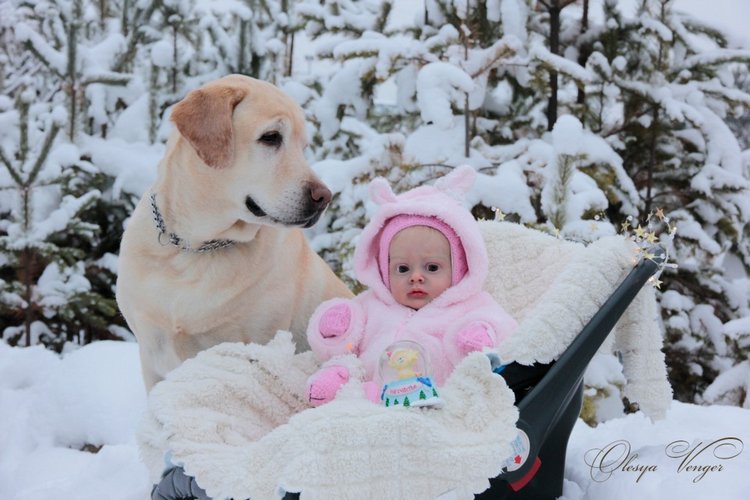 Моя Хлоя, мой любознательный Совенок, кукла реборн Олеси Венгер